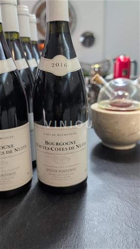 Burgund Hautes Côtes de Nuits Didier Fornerol 2016
