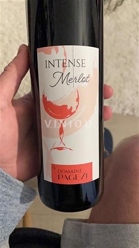 Languedoc ja Roussillon Pays d'Oc Domaine Pagezi Intense Merlot Ei vuosikertaa