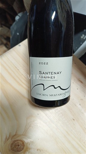 Bourgogne Santenay Lucien Muzard & Fils Charmes 2022