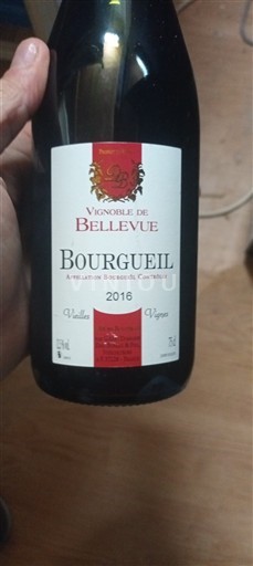 Dolina Loare Bourgueil Vignoble de Bellevue Vieilles Vignes 2016