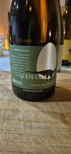 Languedoc Limoux Anne de Joyeuse Mauzac Terroir des Dinosaures 2024