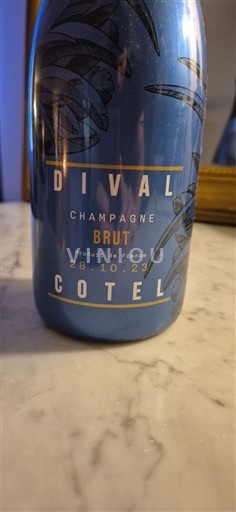 Champagne Sâm-panh Dival Cotel 2023