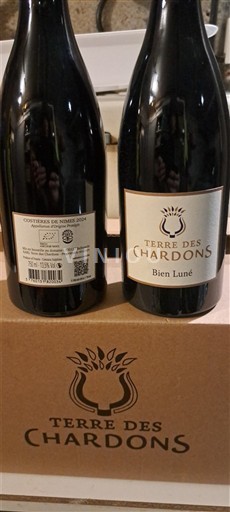 Valle del Rodano Costières di Nîmes Terre des Chardons Bien Luné 2014