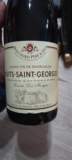 Burgundi Nuits-saint-georges Bouchard Père & Fils Les Forges Ei vuosikertaa