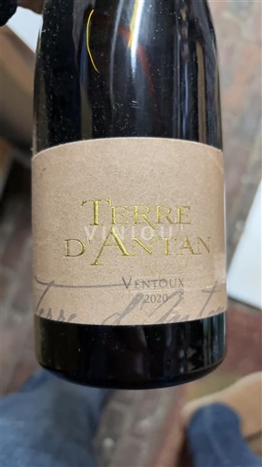 Valle del Ródano Ventoux Terre d'Antan 2020