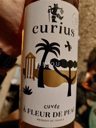 Langvedok Languedoc Curius À Fleur de Peau 2024