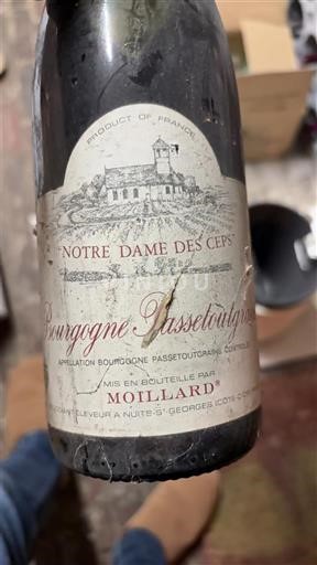 Borgogna Borgogna-passetoutgrain Moillard Notre Dame des Ceps 1990