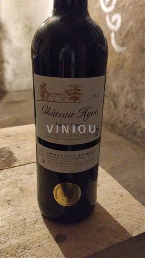 Bordeaux Castillon-côtes-de-bordeaux Château Hyot Gonet 2018