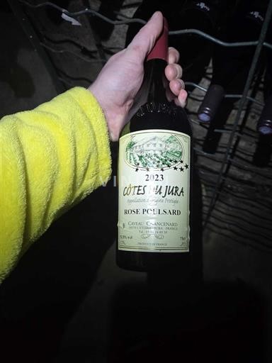 Jura Côtes du Jura Caveau Chancénard Rose poulsard 2023
