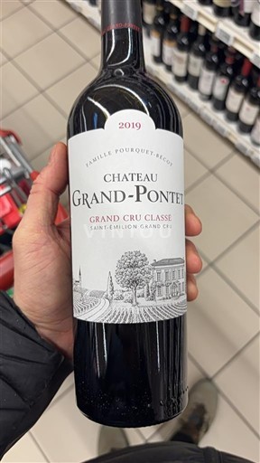 Bordeaux Saint-Émilion Grand Cru Grand Cru Château Grand-Pontet 2019