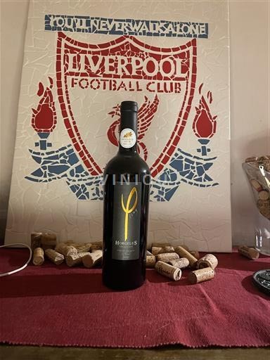 Tây Nam Domaine Horgelus Phi-ling Cabernet Sauvignon - Tannat 2023