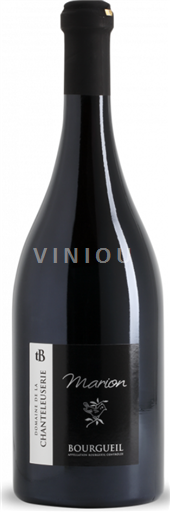 Dolina Loare Bourgueil Domaine La Chanteleuserie Marion 2022