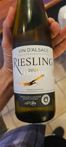 Alsazia Non specificato Riesling 2024