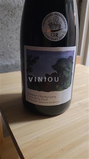 Loiren laakso Saumur-champigny Domaine S Bleverts de la Forêt 2022