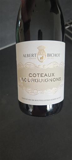 Burgund Burgunderhänge Albert Bichot 2023