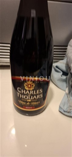 Loire Valley Crémant de Loire Charles Thouars Non-Vintage