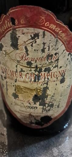 Loire-dalen Saumur-Champigny Domaine La Bonnelière 2009
