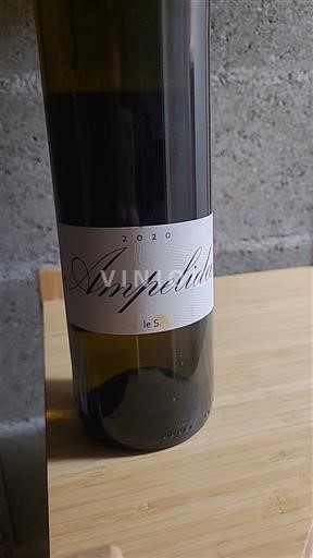 Valle della Loira Non specificato Ampelidae le S 2020