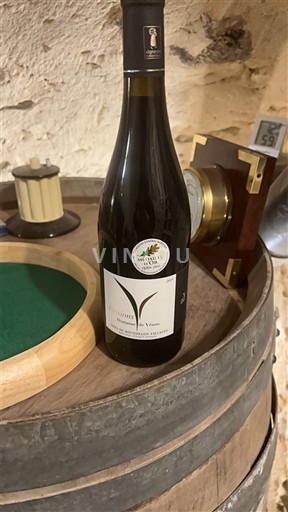 Thung lũng sông Loire Saint-Nicolas-De-Bourgueil Domaine S Vallettes 2015
