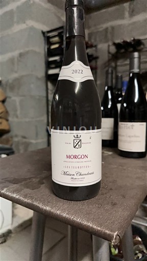 Beaujolais Morgon Maison Chanrenton Les Violettes 2022