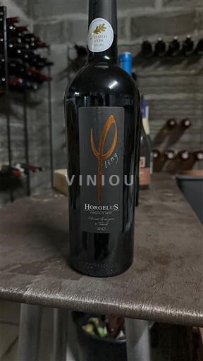 Südwestfrankreich Côtes de Gascogne Domaine Horgelus IGP Côtes de Gascogne Rouge 2021
