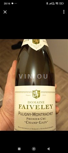 Burgund Puligny-Montrachet Premier Cru Domaine Faiveley Champ Gain 2018