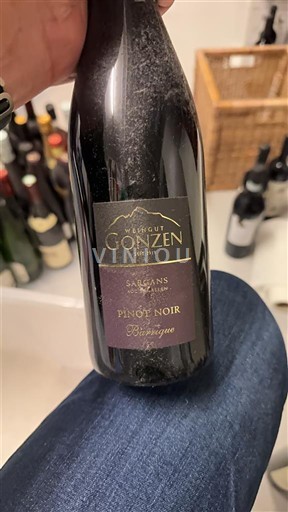 Valais Nespecifikováno Weingut Gonzen Pinot Noir Barrique 2016