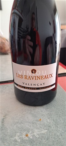 Valle della Loira Valençay Denis Bardon Les Ravineaux 2022