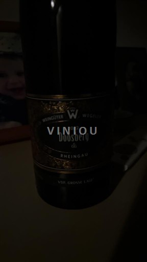 Rheingau Weingut Wegeler Jesuitengarten 2022