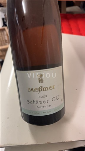 Pfalz Meßmer Schäwer GG 2009