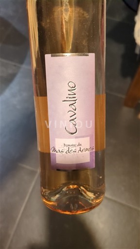 Languedoc-Roussillon Pays d'Oc Mas des Armes Cavalino 2024