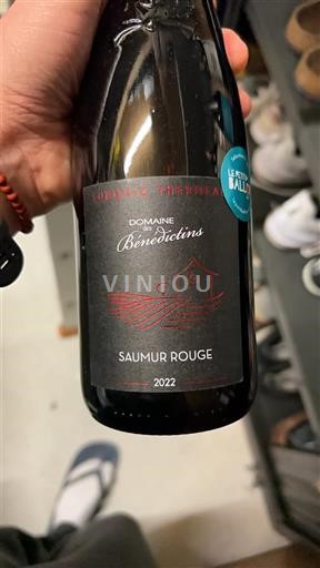 Valle della Loira Saumur Domaine S Bénédictins 2022