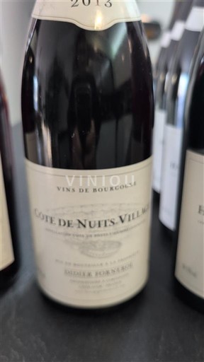 Burgund Côte de Nuits Villages Domaine Didier BOURGEOIS 2013