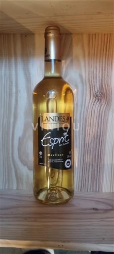 Sudoeste Côtes de Gascogne Landes Esprit des Landes Sin añada