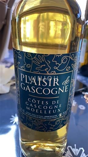 Sudoeste Côtes de Gascogne Plaisir de Gascogne Não Sazonado