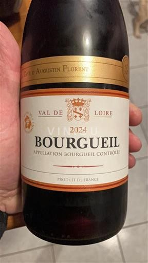 Valle della Loira Bourgueil Cave d'Augustin Florent 2024