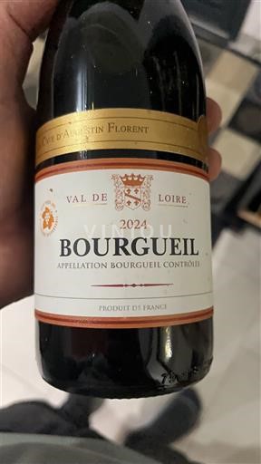 Dolina Loare Бургеиља Cave d'Augustin Florent 2024