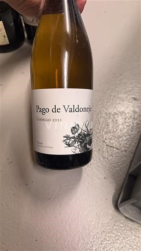 Castille et León Bierzo Pago de Valdoneje Godello 2021