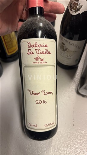 Toscane Fattoria La Vialla Vino Novo 2016