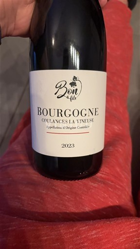 Borgoña Borgoña Coulanges-la-Vineuse Ben & Fils 2023
