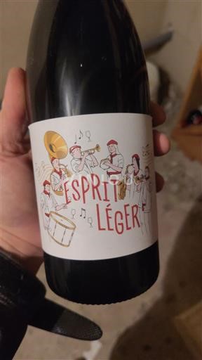 Beaujolais Esprit Léger 2024
