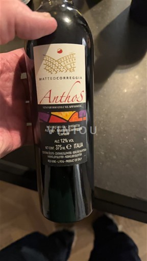 Piemonte Không được chỉ định Matteo Correggia Anthos Không niên vụ