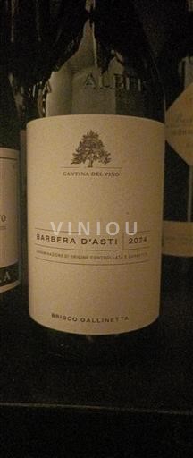 Piamonte Barbera d'Asti Cantina del Pino Bricco Gallinetta 2024