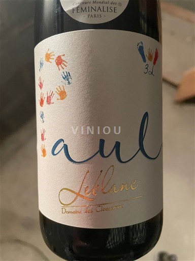 Loirevallei Coteaux du Layon Domaine S Closserons - Leblanc Paul 2018