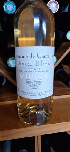 Languedoc in Roussillon Pays d'Oc Domaine Cantaussel Aucèl Blanc 2023