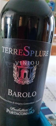 Piamonte Barolo Poderi della Bandina di Portacomaro Terresplure 2019
