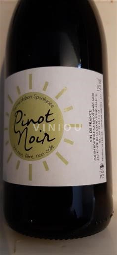 Beaujolais Benoit Marchand Pinot Noir Không niên vụ