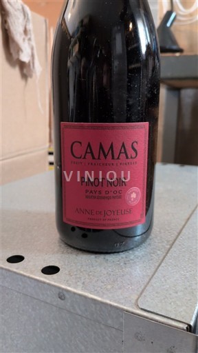 Languedoc og Roussillon Pays d'oc Anne de Joyeuse Camas 2021