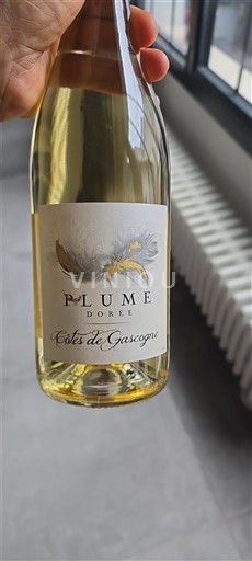 Sudoeste Côtes de Gascogne Plume Dorée Sin añada