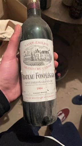 Víno Rouge sec Château Fonplégade 1994 Francie Bordeaux Saint-Émilion Grand Cru AOC